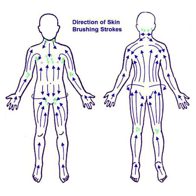 Anti-cellulite Dry Body Brush